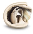 Zapatos Barefoot Bebé Beige BALOO de Magical Shoes