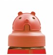 Botella CHUPI de tritan 450 ml con pajita de Laken