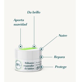 Bálsamo labial aguacate | Hidratación y reparación