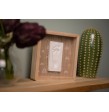 Caja de Huella - Rainbow Petit Artichaut