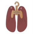 Slip Stop Adultos Burgundy