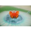 Bomba de Baño Sorpresa Mariposa 1x100gr Bomba de Baño Sorpresa Mariposa 1x100gr