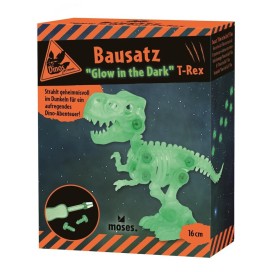 Kit Construcción T-Rex Fluorescente | Dinosaurio que Brilla