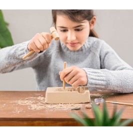 Set de Excavación de Fósiles Reales | Kit Paleontología Infantil