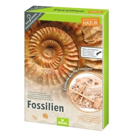 Set de Excavación de Fósiles Reales | Kit Paleontología Infantil