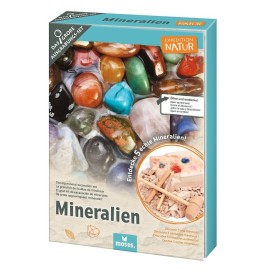 Set de Excavación de Minerales | Kit Científico con Minerales Reales