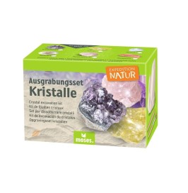 Kit de Excavación de Cristales | Descubre Minerales Sorpresa