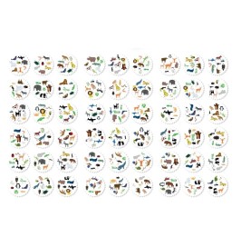 Safari veloz – Juego de agudeza visual con 54 fichas de  Manolito Books