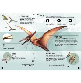 Pteranodon Manolito Books | Libro y maqueta 3D | Má o Pá
