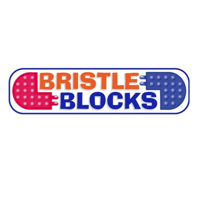 Bristle blocks