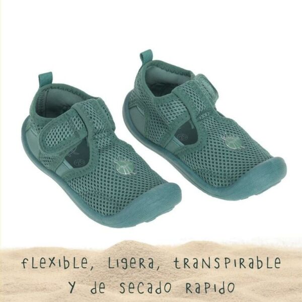 Cangrejeras verdes de Lassig