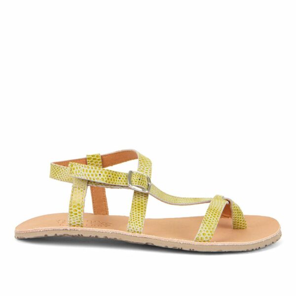 Sandalias Flexi Verde Lima de Froddo - Imagen 3