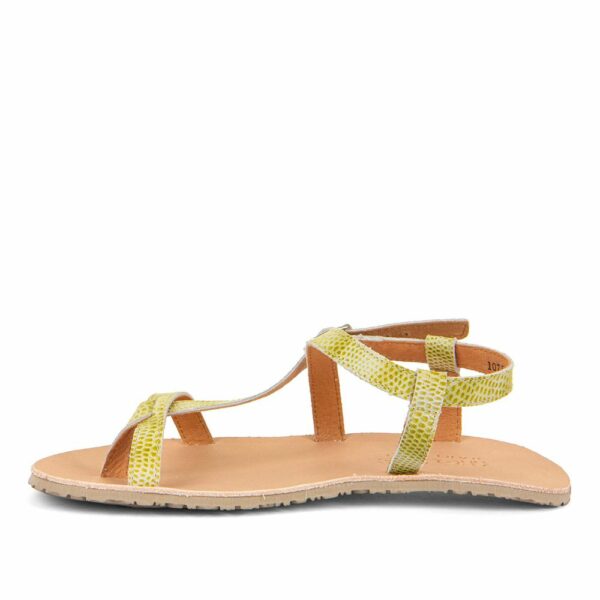 Sandalias Flexi Verde Lima de Froddo - Imagen 2